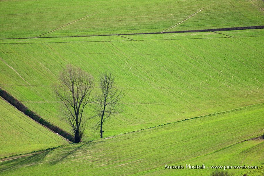 07 Prati nella Valle di Astino.jpg - 07 Prati nella Valle di Astino